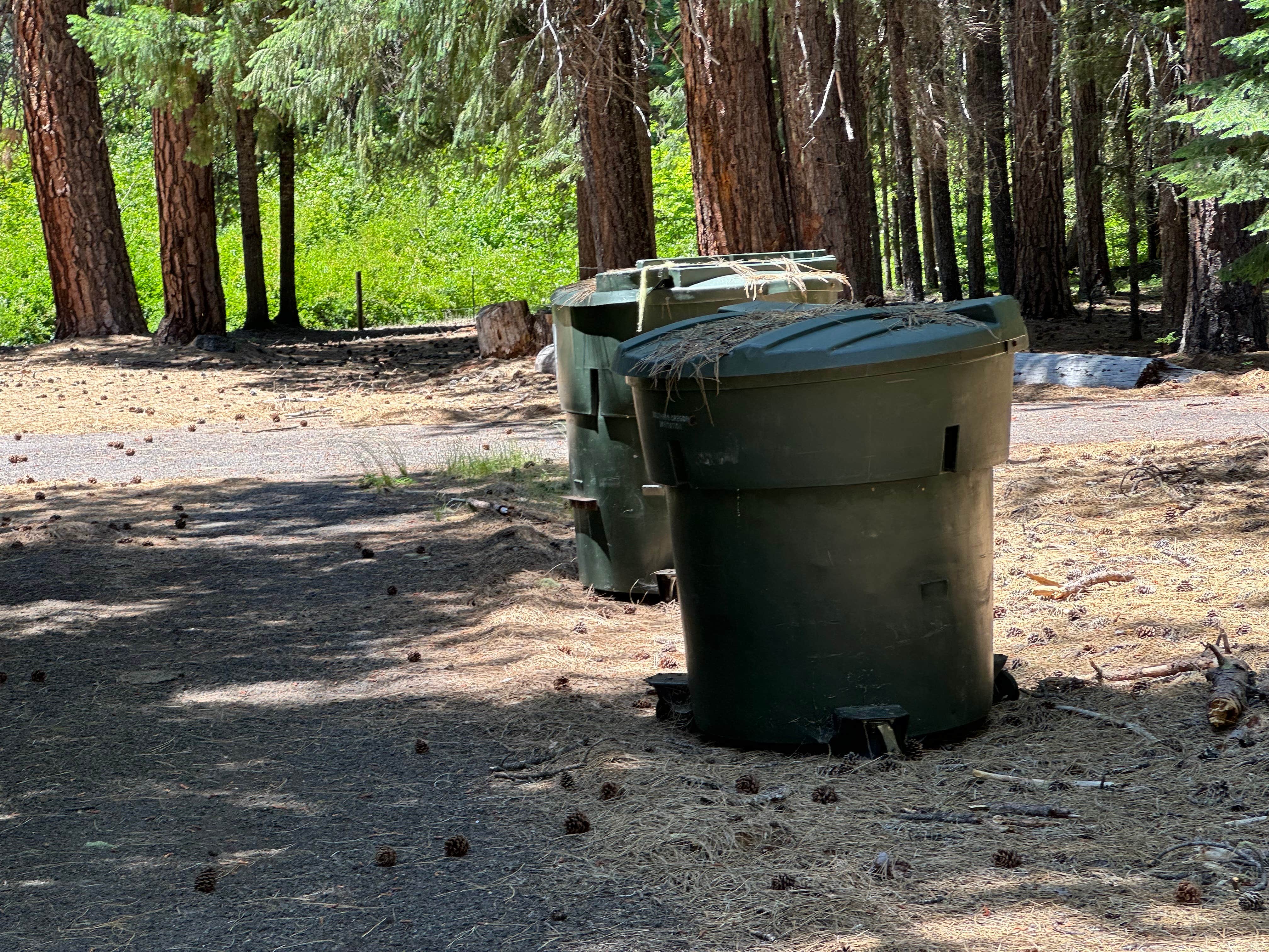 Camping near Ochoco NF-Ochoco West - Prineville Area: Abbott Creek Campground, Prospect, Oregon