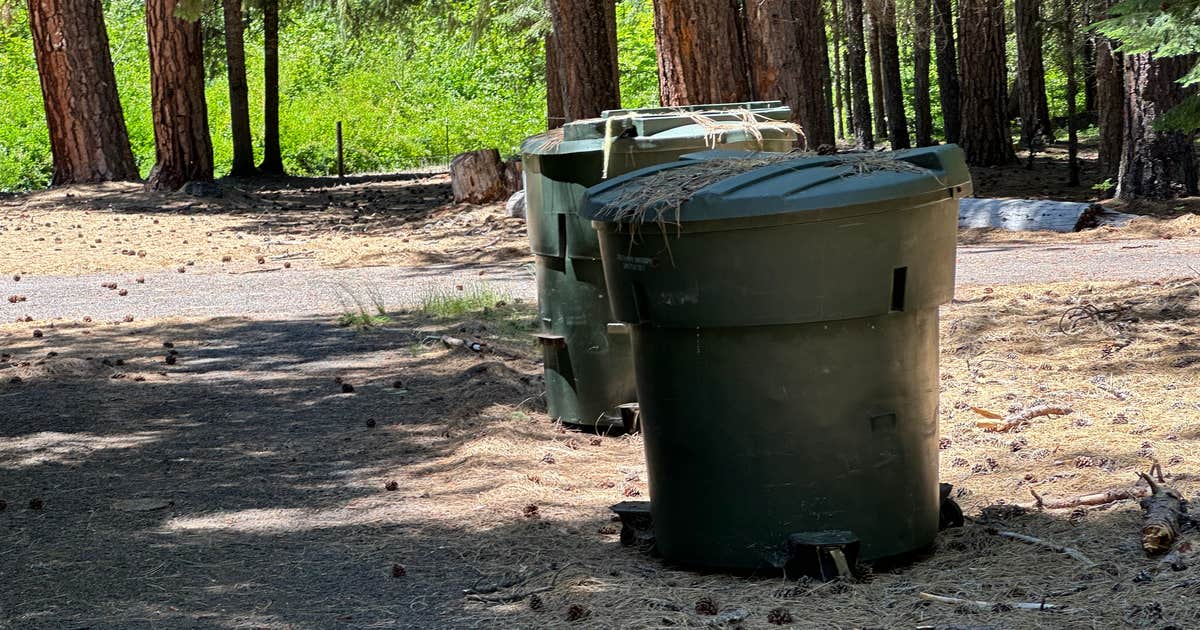 Abbott Creek Campground