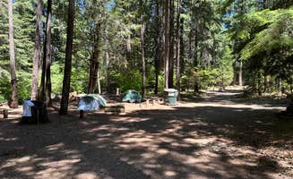 Bill T.'s photo of tent camping at Mill Creek Campground near Umpqua National Forest