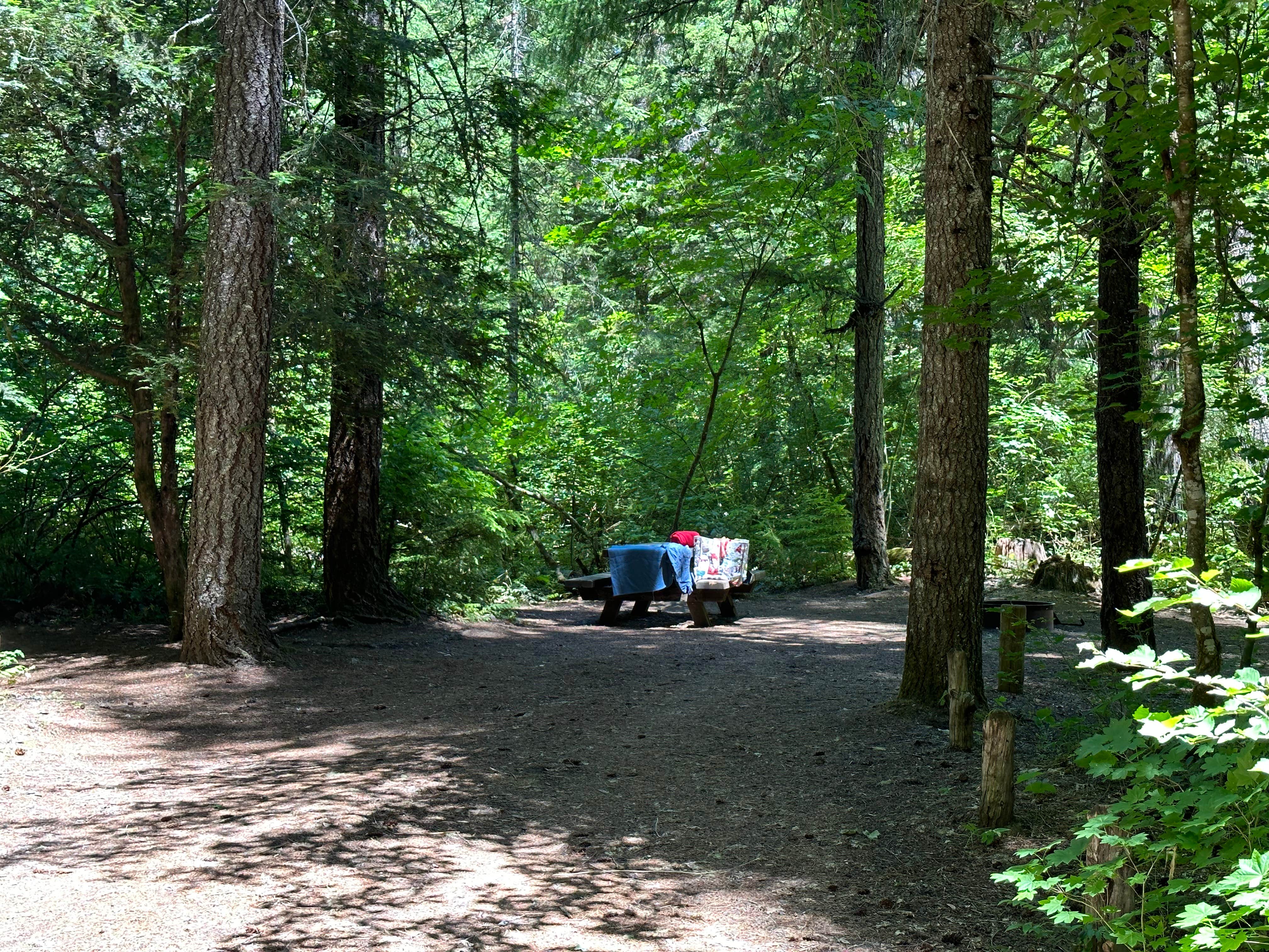 Camper-submitted photo at River Bridge Campground near Prospect, OR