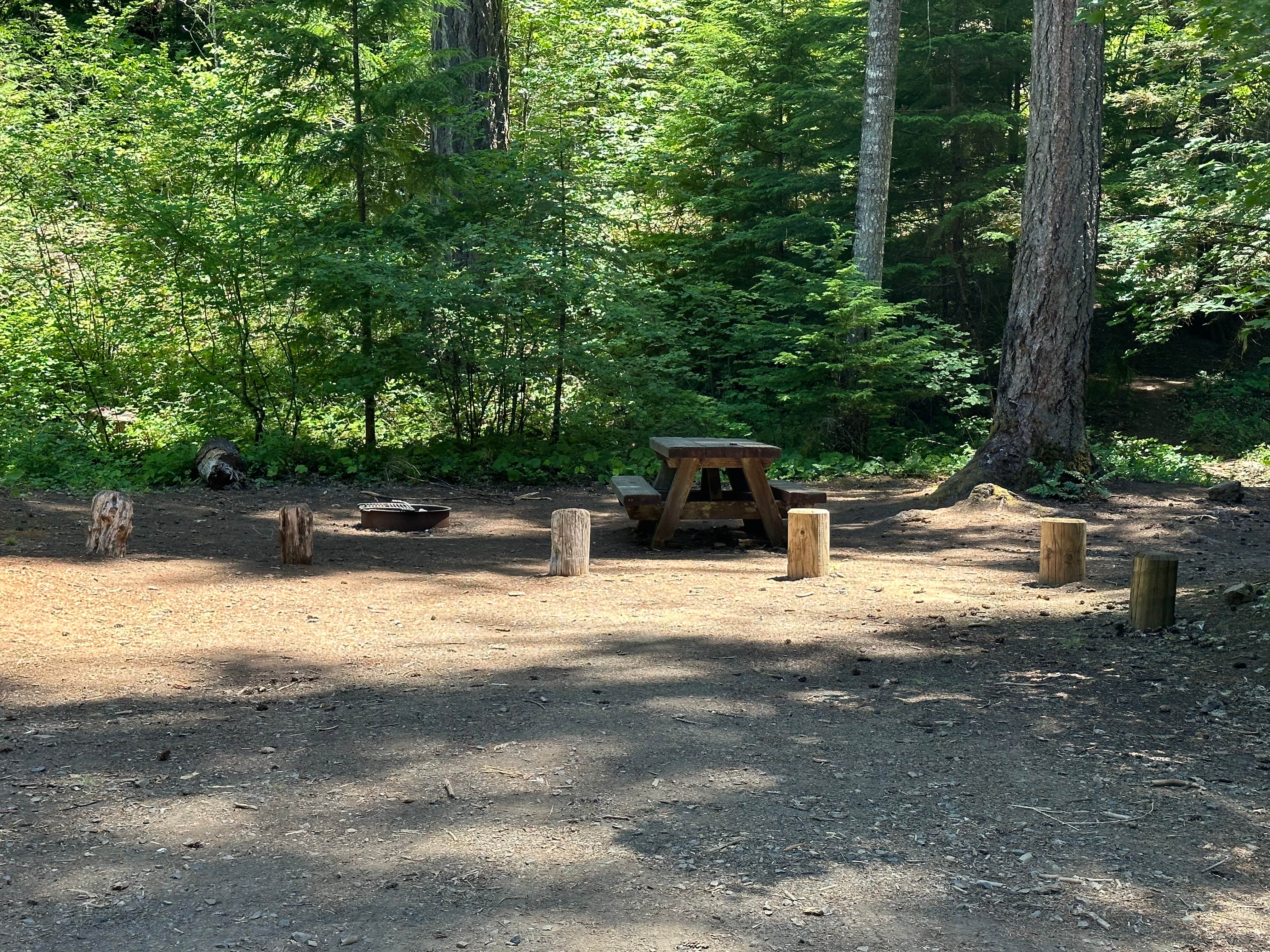 Camper-submitted photo at River Bridge Campground near Prospect, OR