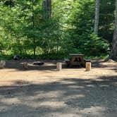 Review photo of River Bridge Campground by Bill T., July 6, 2023