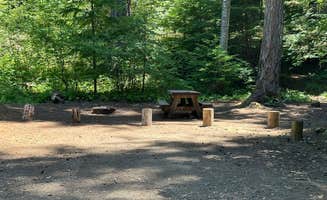 Bill T.'s photo of camping with pets at River Bridge Campground near Prospect, OR