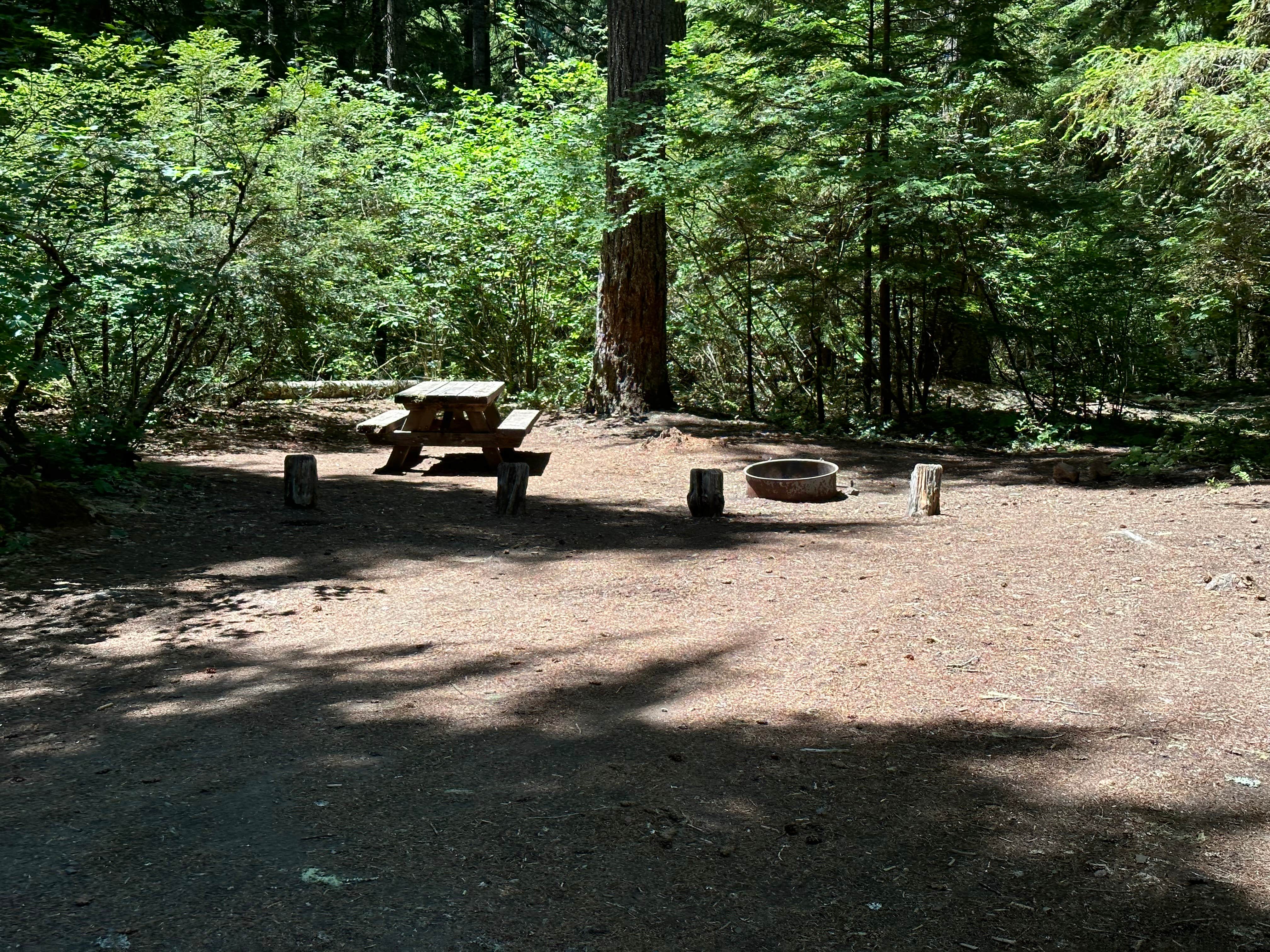 Camper-submitted photo at River Bridge Campground near Prospect, OR