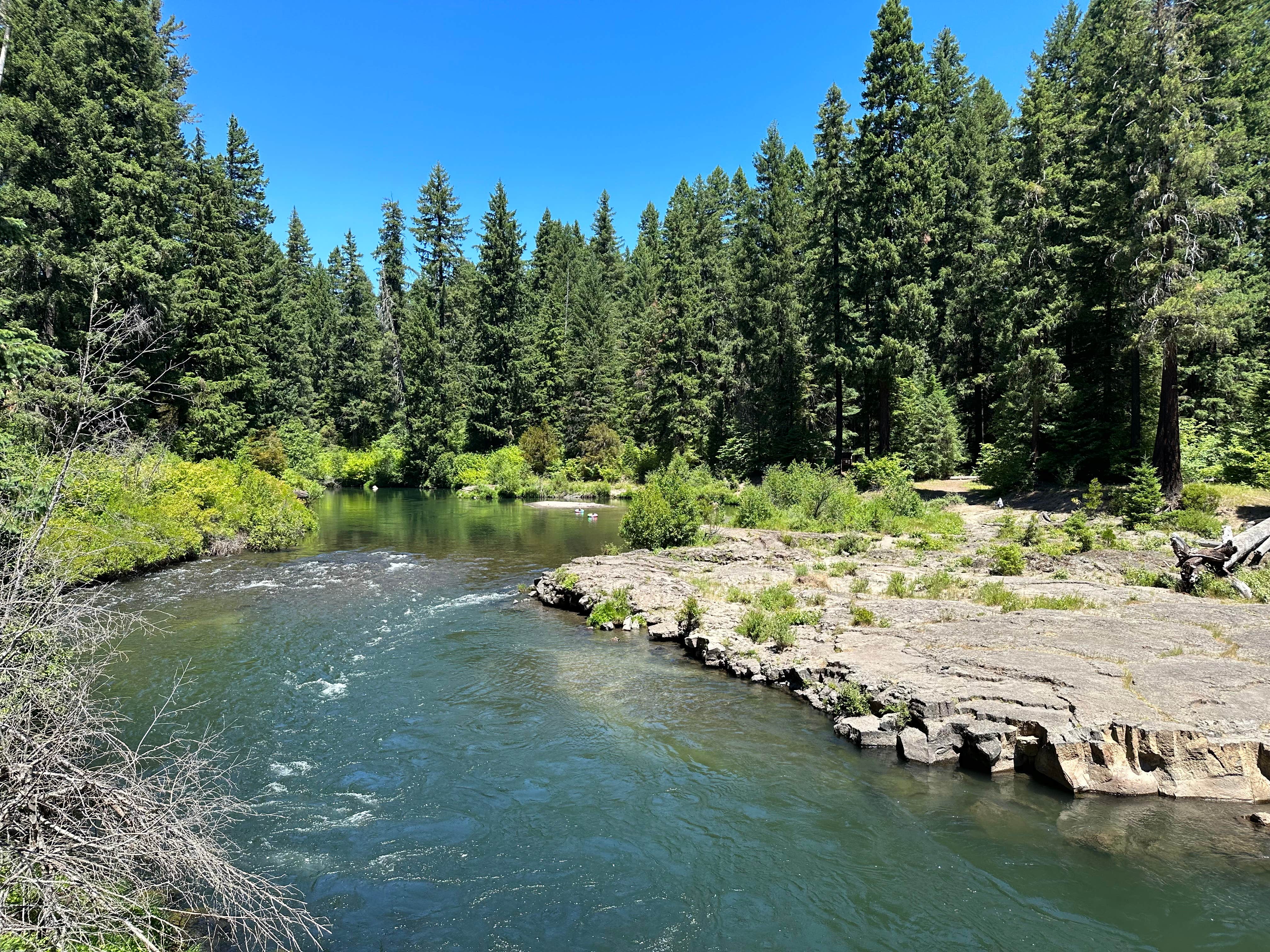 Camper submitted image from River Bridge Campground - 1