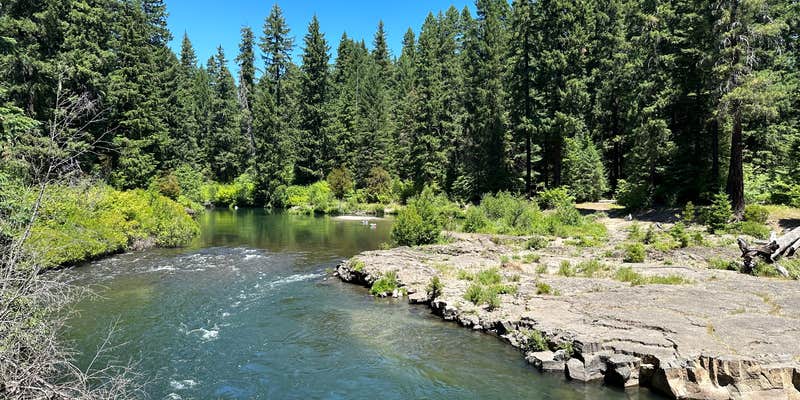 Camper submitted image from River Bridge Campground