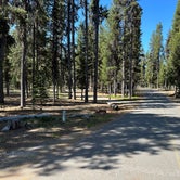 Review photo of Broken Arrow Campground by Bill T., July 6, 2023