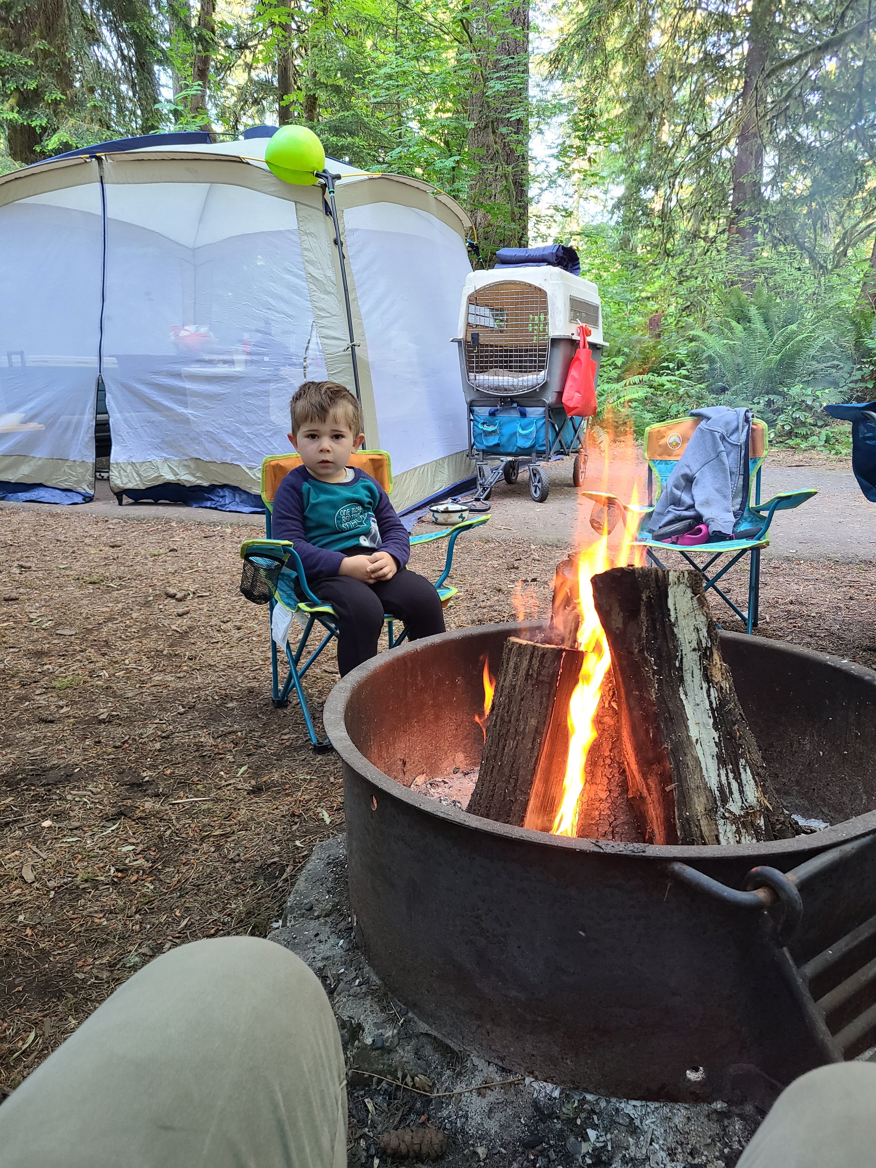 Camper submitted image from Cresap Bay Campground  - 1