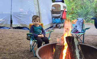 Camping near Lake Merrill- State Forest: Cresap Bay Campground , Cougar, Washington
