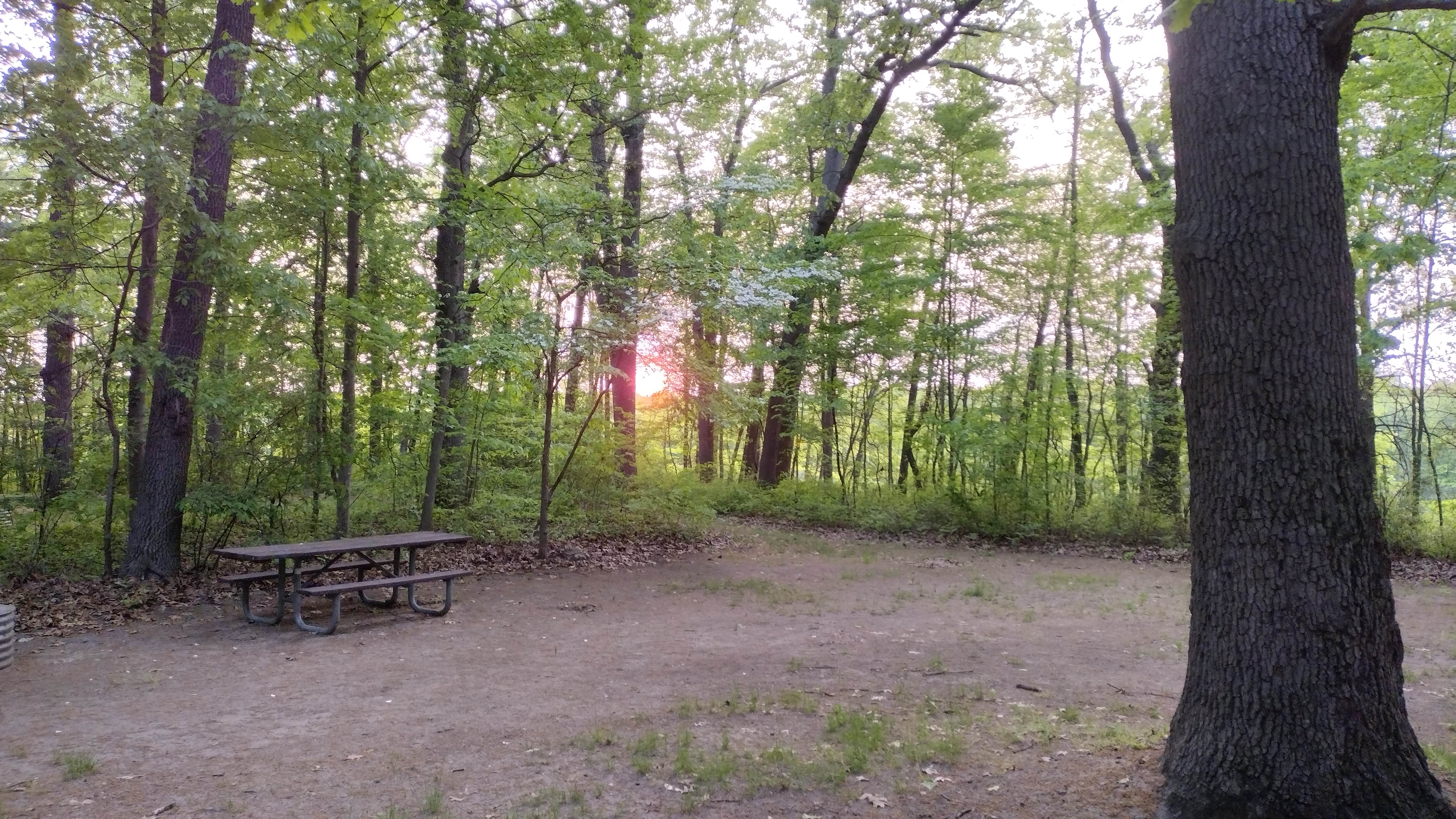 Camper-submitted photo at Ely Lake Campground near Allegan, MI