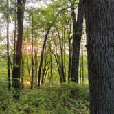 Review photo of Ely Lake Campground by Cory W., July 6, 2023