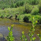 Review photo of Yeoman Park by Kayla W., July 6, 2023