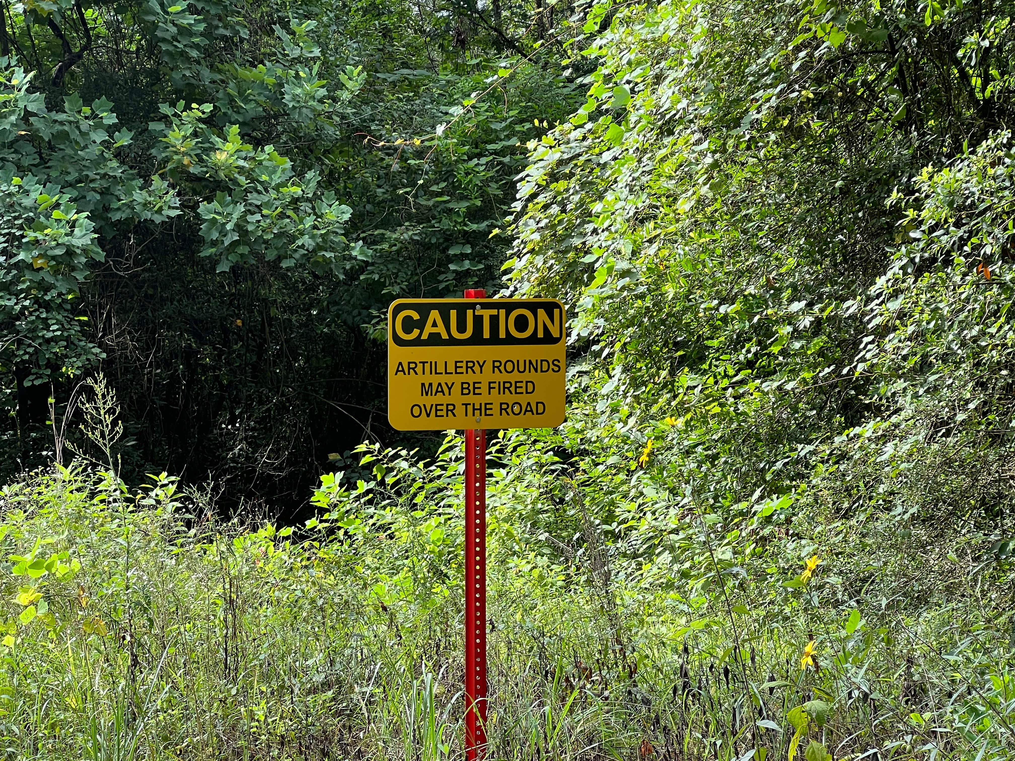 Camper-submitted photo at Camp Shelby Dispersed Camping near De Soto National Forest