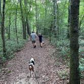 Review photo of Medoc Mountain State Park Campground by Kat G., July 6, 2023