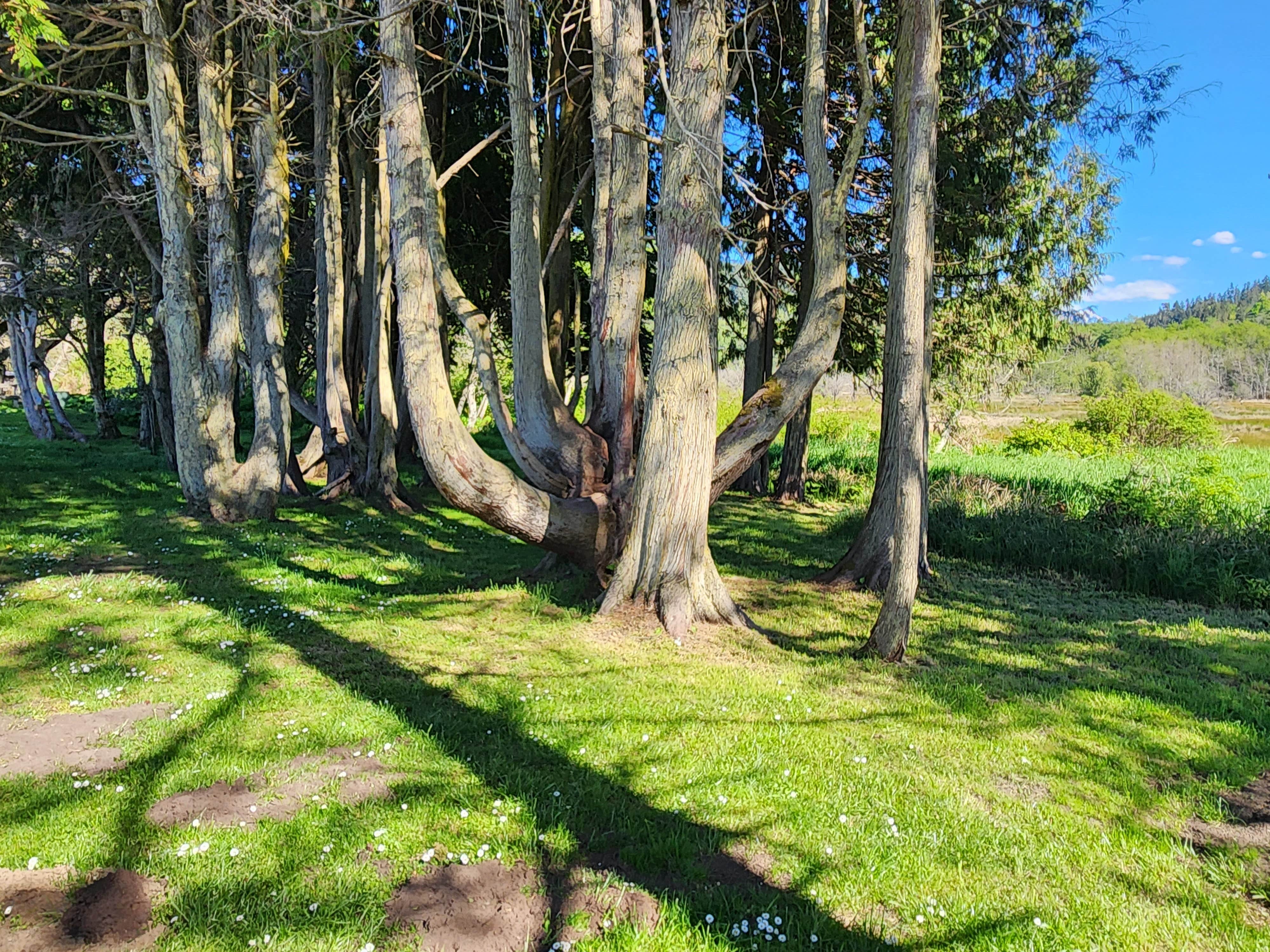 Camper-submitted photo at Crescent Beach & RV Park near Joyce, WA