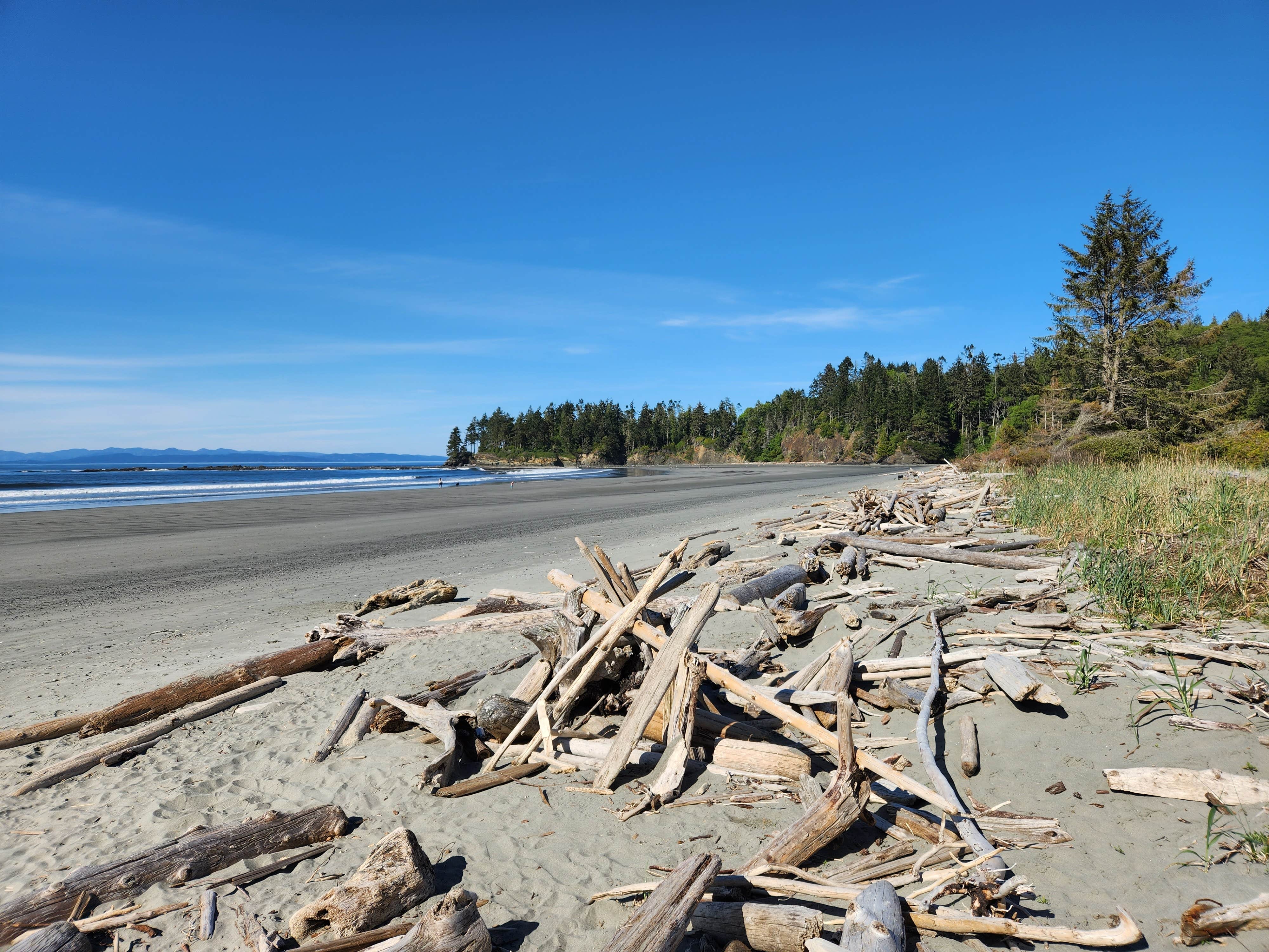 Camper-submitted photo at Crescent Beach & RV Park in Washington