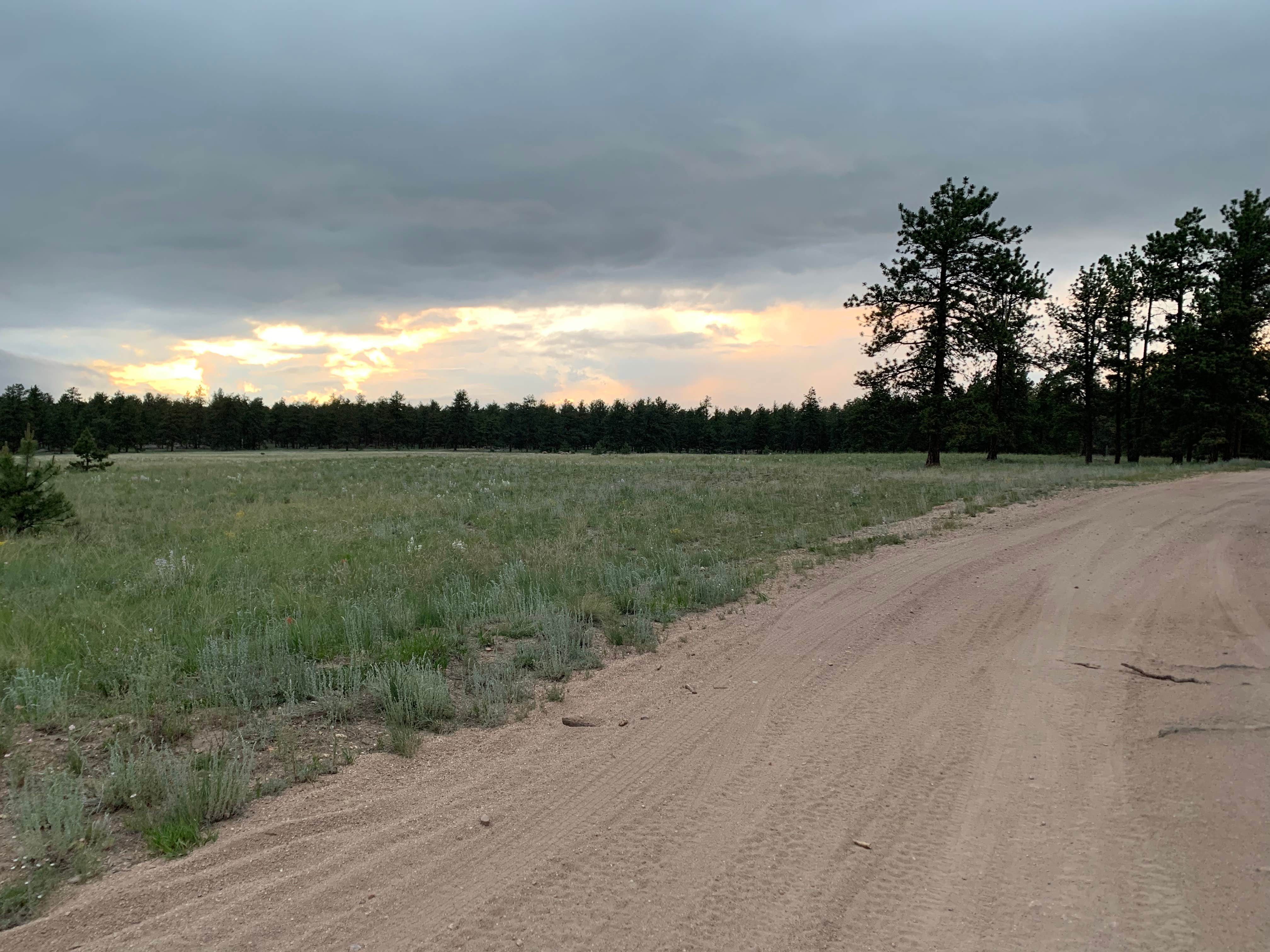 Stephan J.'s photo of a dispersed camping area at North Round Mountain near Lake George, CO