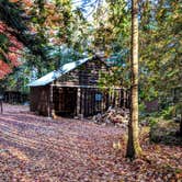 Review photo of Daicey Pond Cabins — Baxter State Park by Shari  G., October 22, 2018