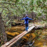 Review photo of Daicey Pond Cabins — Baxter State Park by Shari  G., October 22, 2018