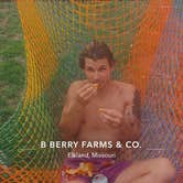 Review photo of B Berry Farms & Co. by Abe & Makayla R., July 6, 2023