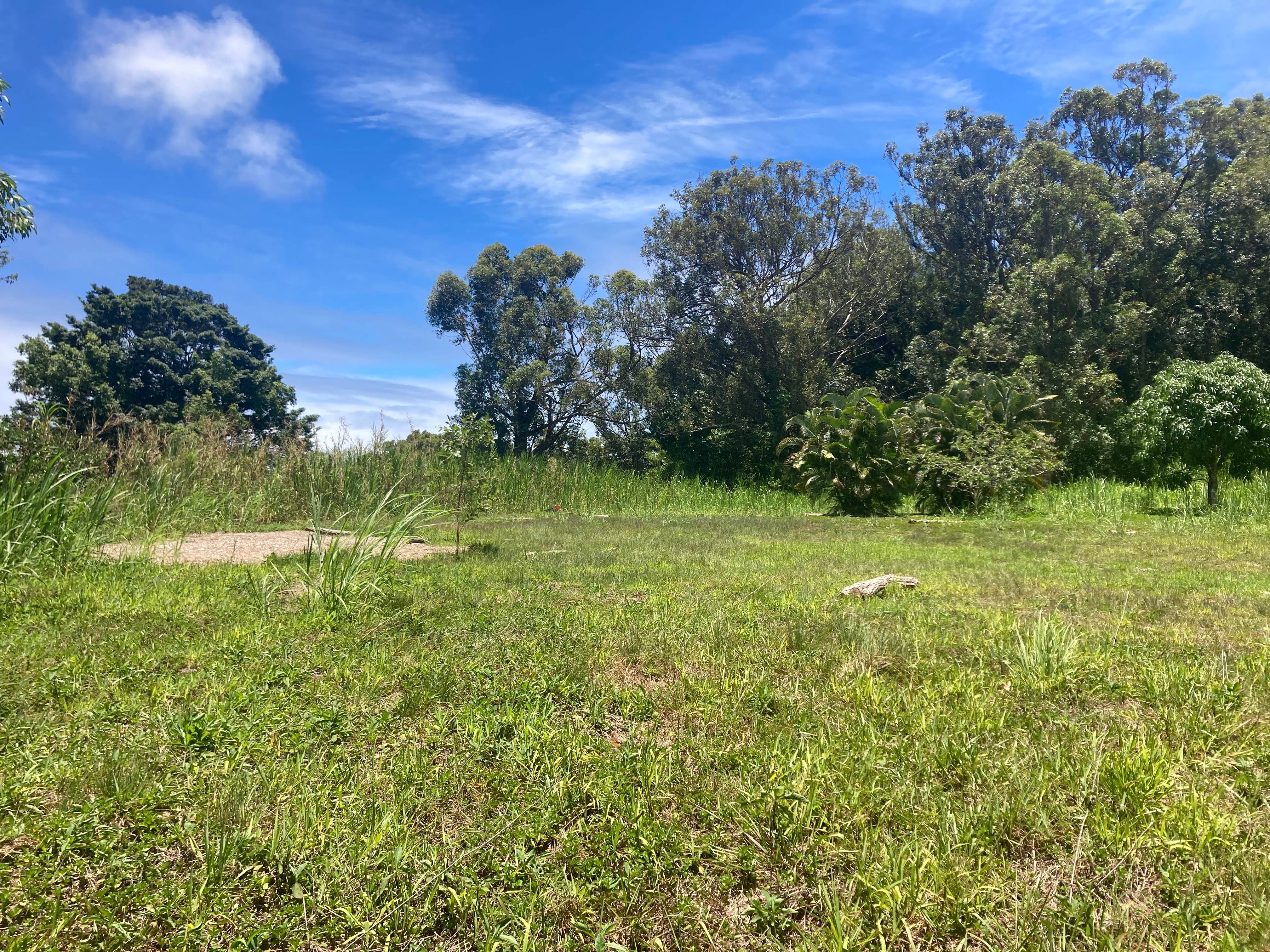 Camper-submitted photo at Cozy Meadows Campground near Lahaina, HI