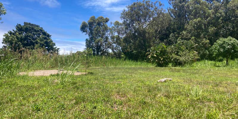 Camper submitted image from Cozy Meadows Campground