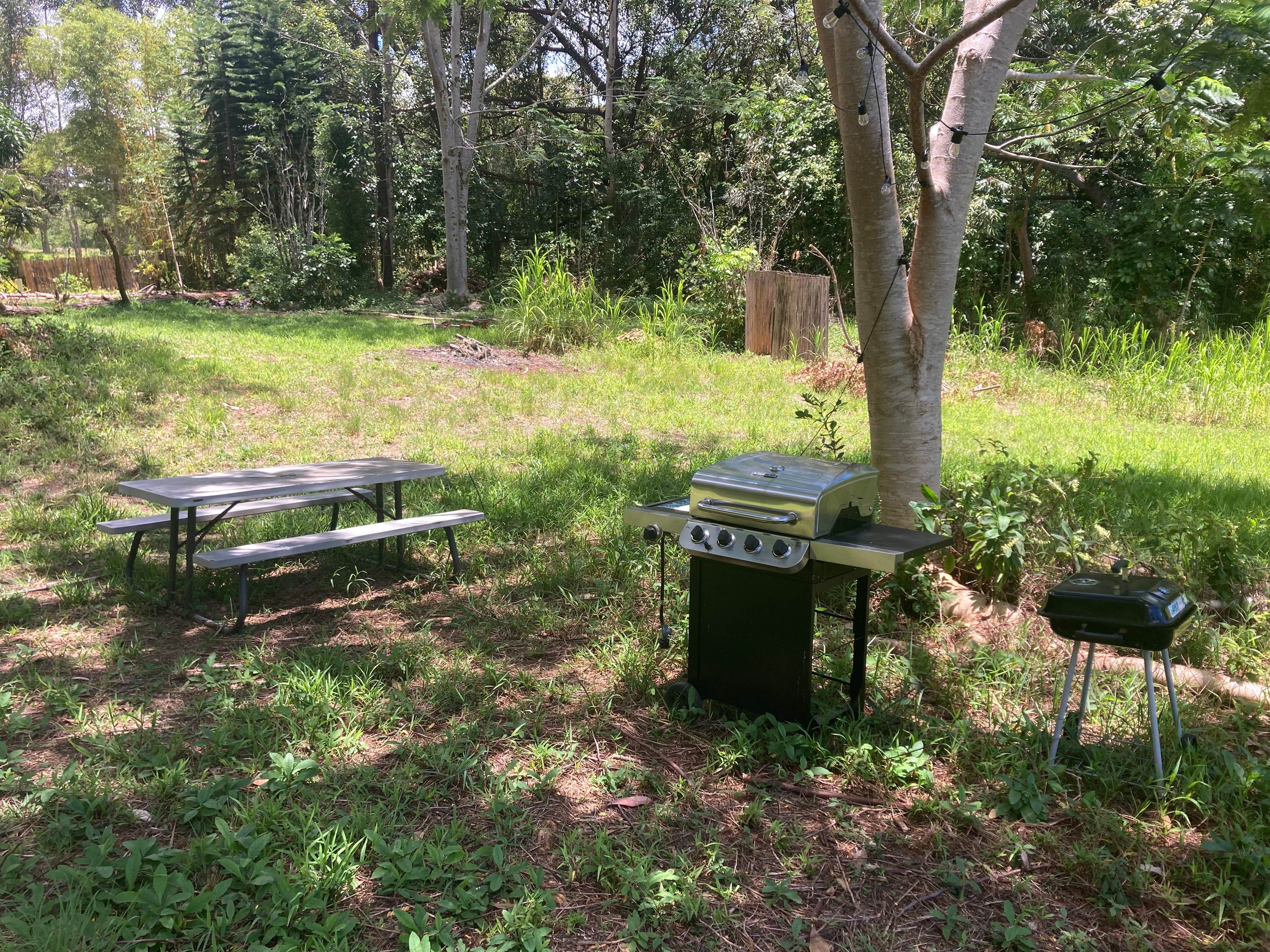 Camper-submitted photo at Cozy Meadows Campground near Lahaina, HI