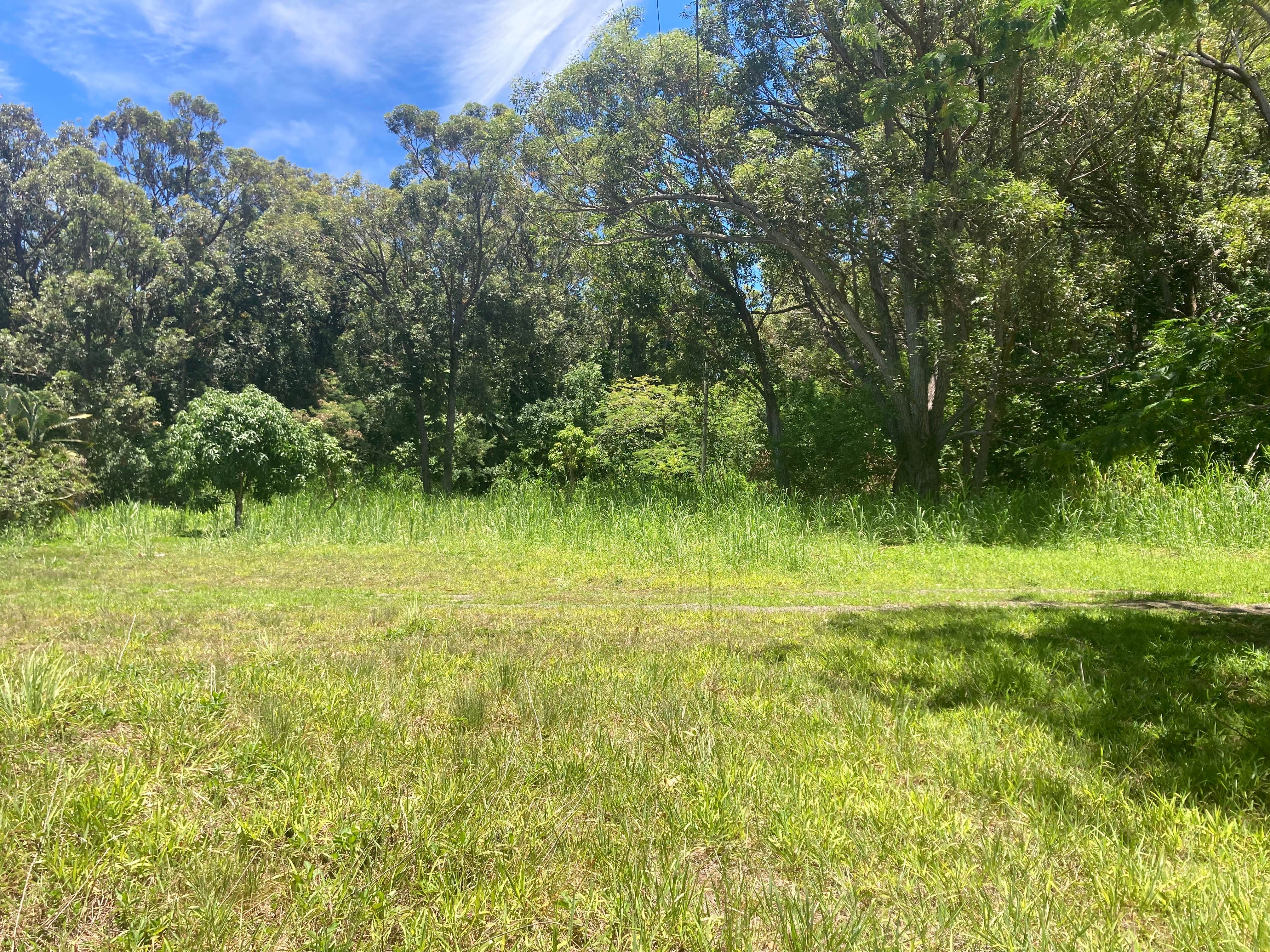 Camper-submitted photo at Cozy Meadows Campground near Lahaina, HI