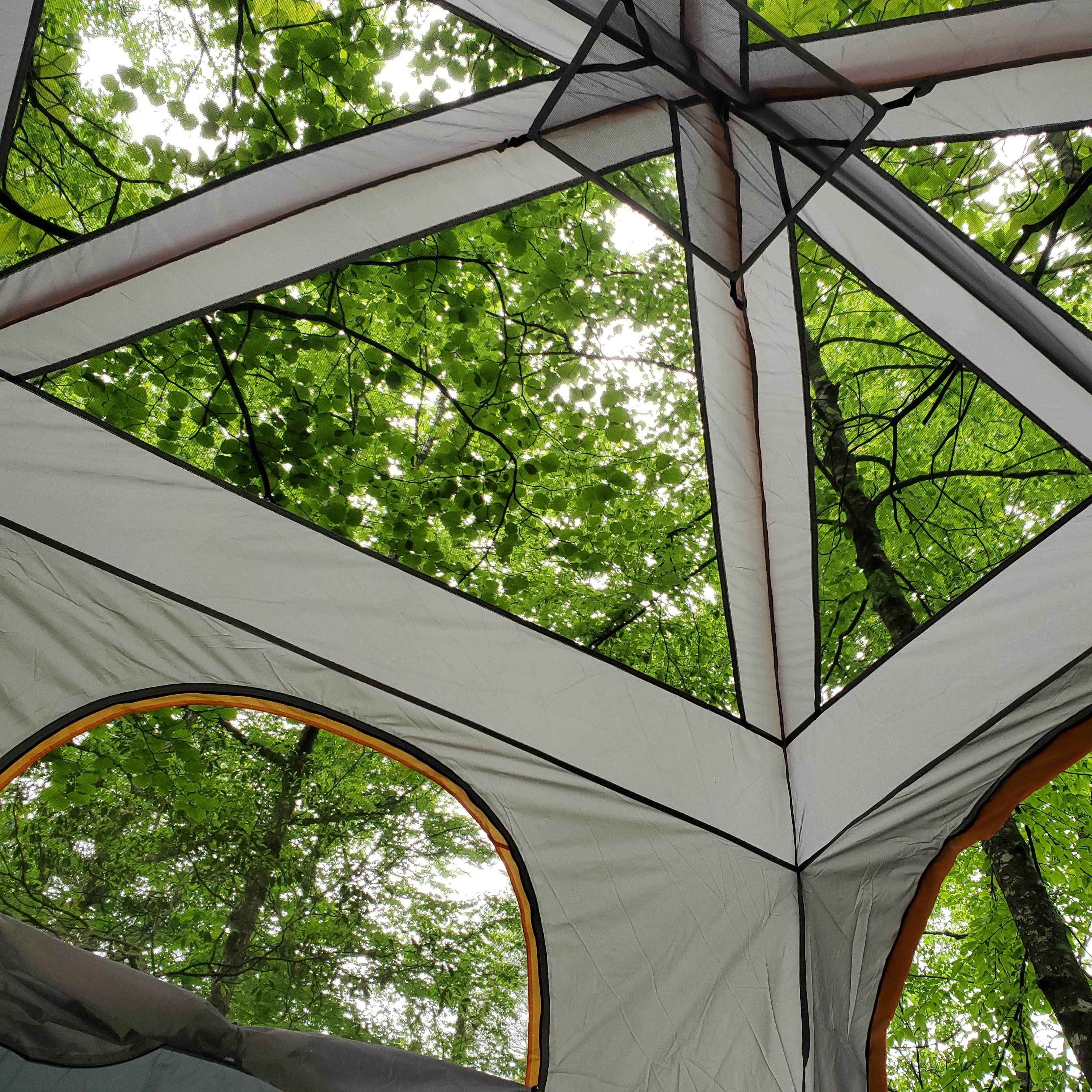 Mark G.'s photo at Black Mountain Creek Side near Gerton, NC