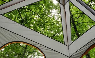 Mark G.'s photo at Black Mountain Creek Side near Montreat, NC