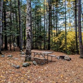 Review photo of New England Outdoor Center by Shari  G., October 22, 2018