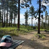 Review photo of Kelly Dahl by Erik B., July 6, 2023