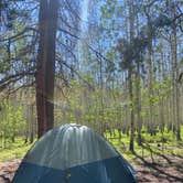 Review photo of Twin Lakes View Dispersed by Madison A., July 6, 2023