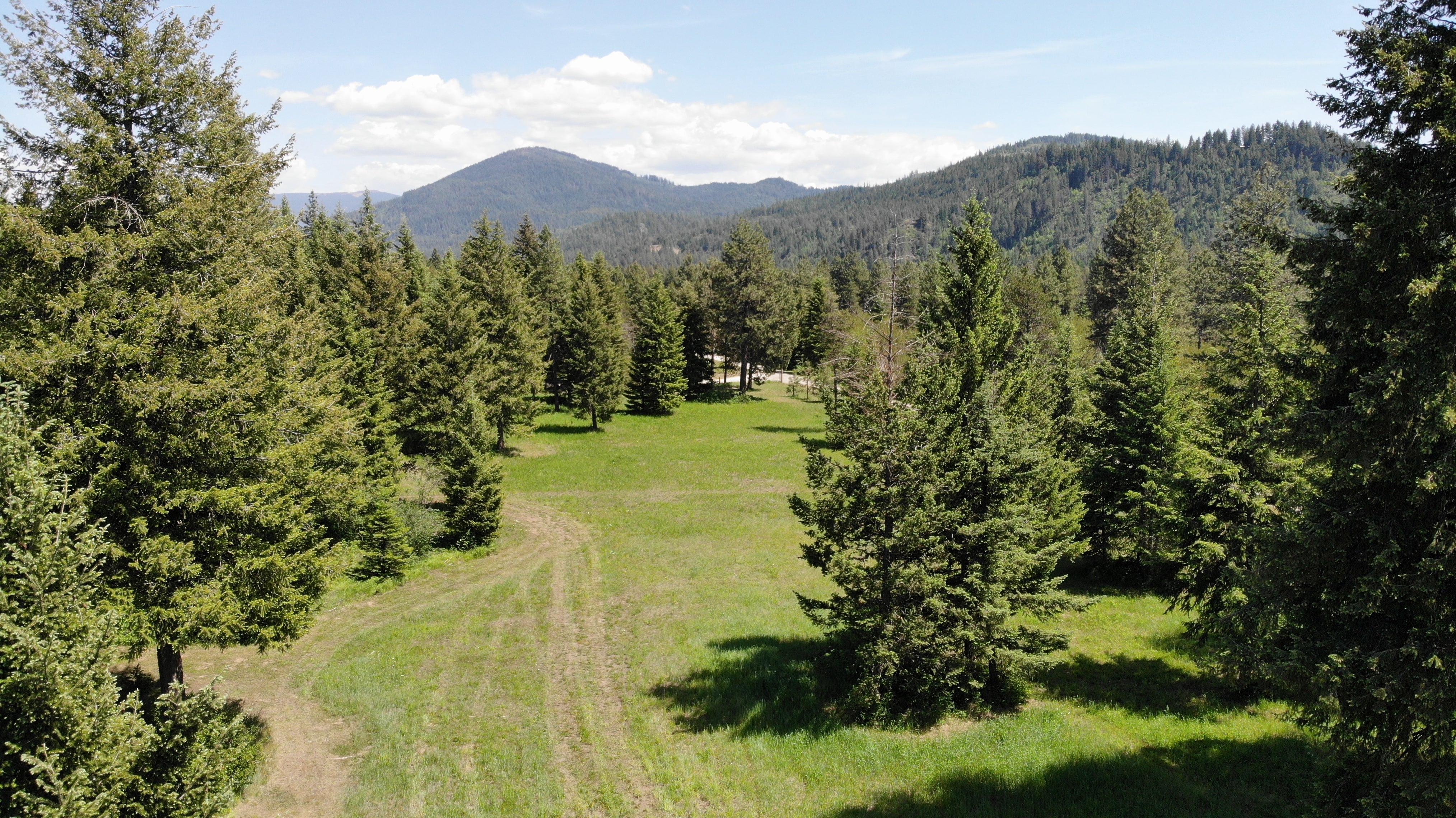 Camper submitted image from Black Bear Meadows - 1