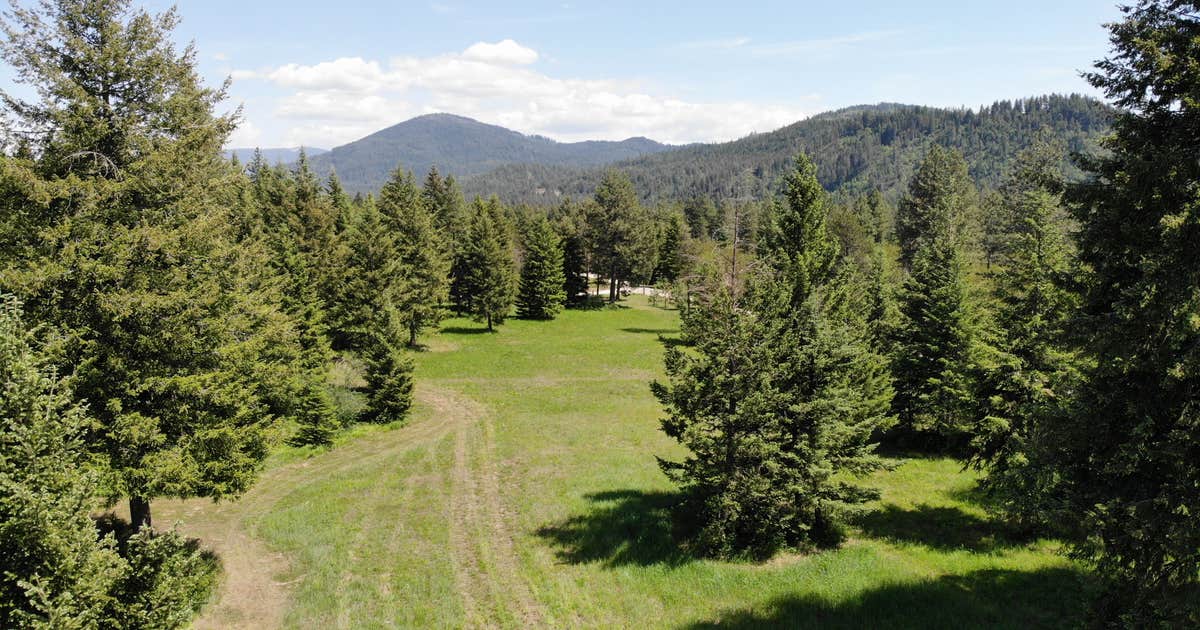 Black Bear Meadows