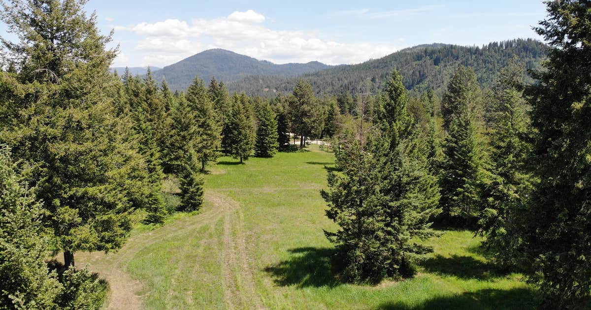 Black Bear Meadows