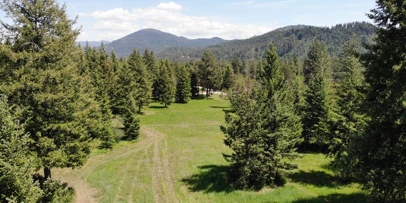 Camper submitted image from Black Bear Meadows