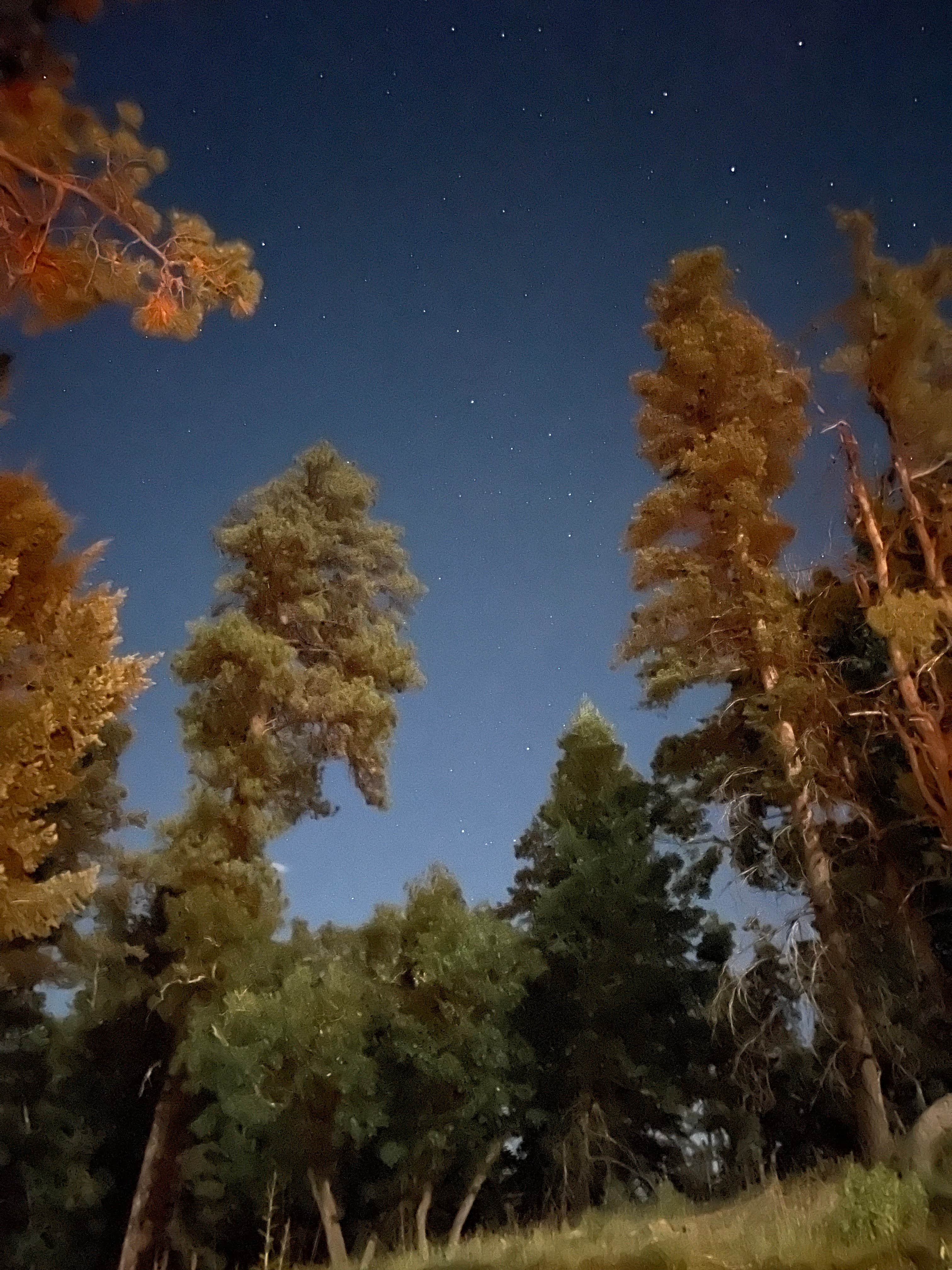 Camper-submitted photo at Upper Bonito Dispersed Recreation Area near Alamogordo, NM