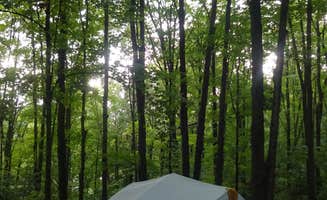 Amanda P.'s photo at Eastwood near Irma, WI