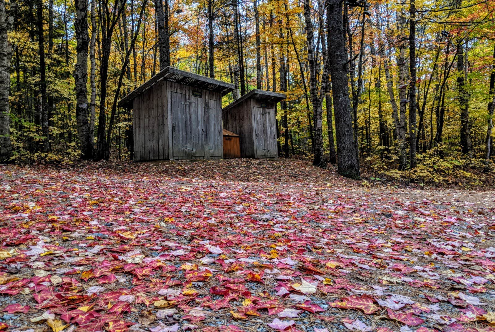 Camper submitted image from New England Outdoor Center - 4