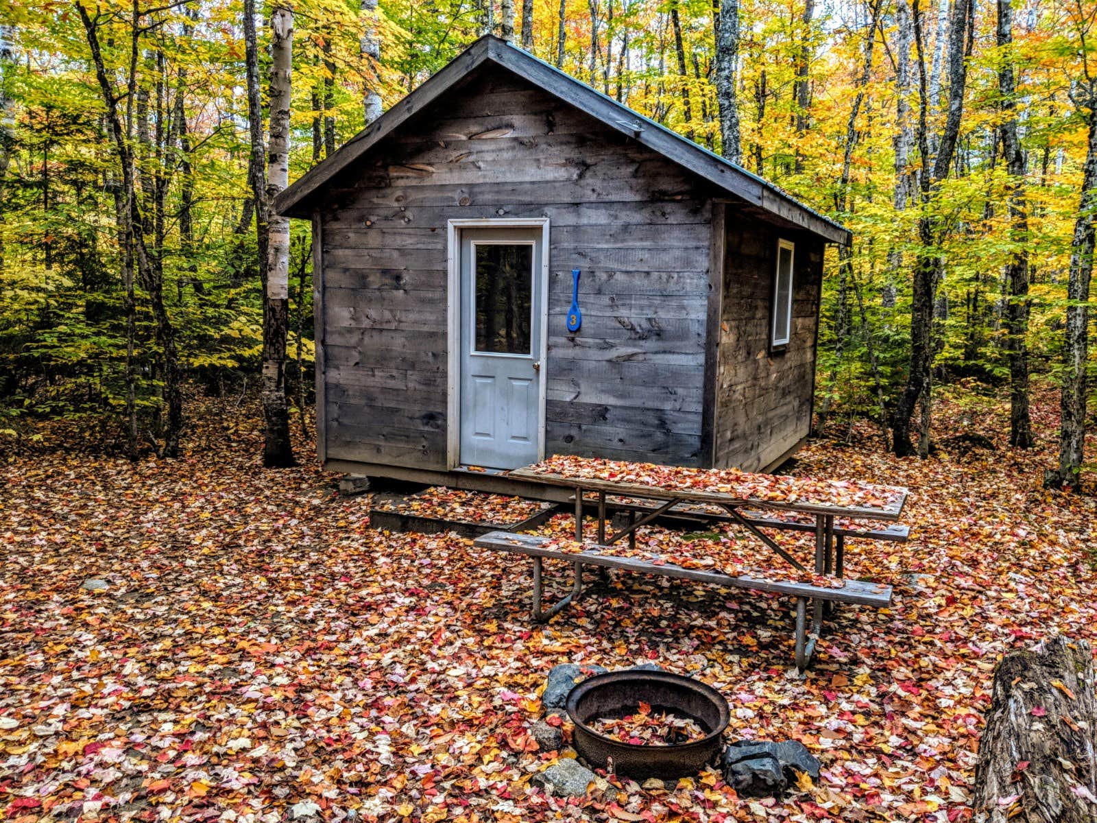 Shari  G.'s photo of a cabin at New England Outdoor Center near Greenville, ME