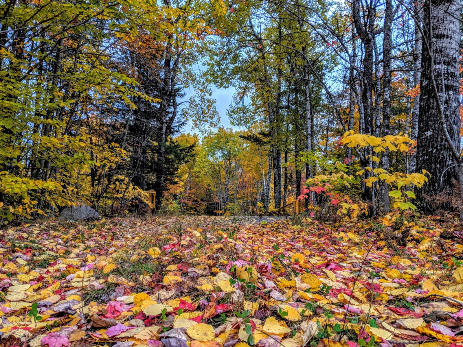 Camper-submitted photo at New England Outdoor Center near Medford, ME