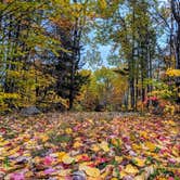 Review photo of New England Outdoor Center by Shari  G., October 22, 2018