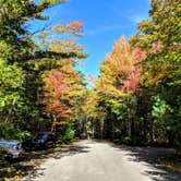 Review photo of Bar Harbor Campground by Shari  G., October 22, 2018