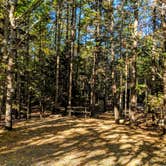 Review photo of Bar Harbor Campground by Shari  G., October 22, 2018