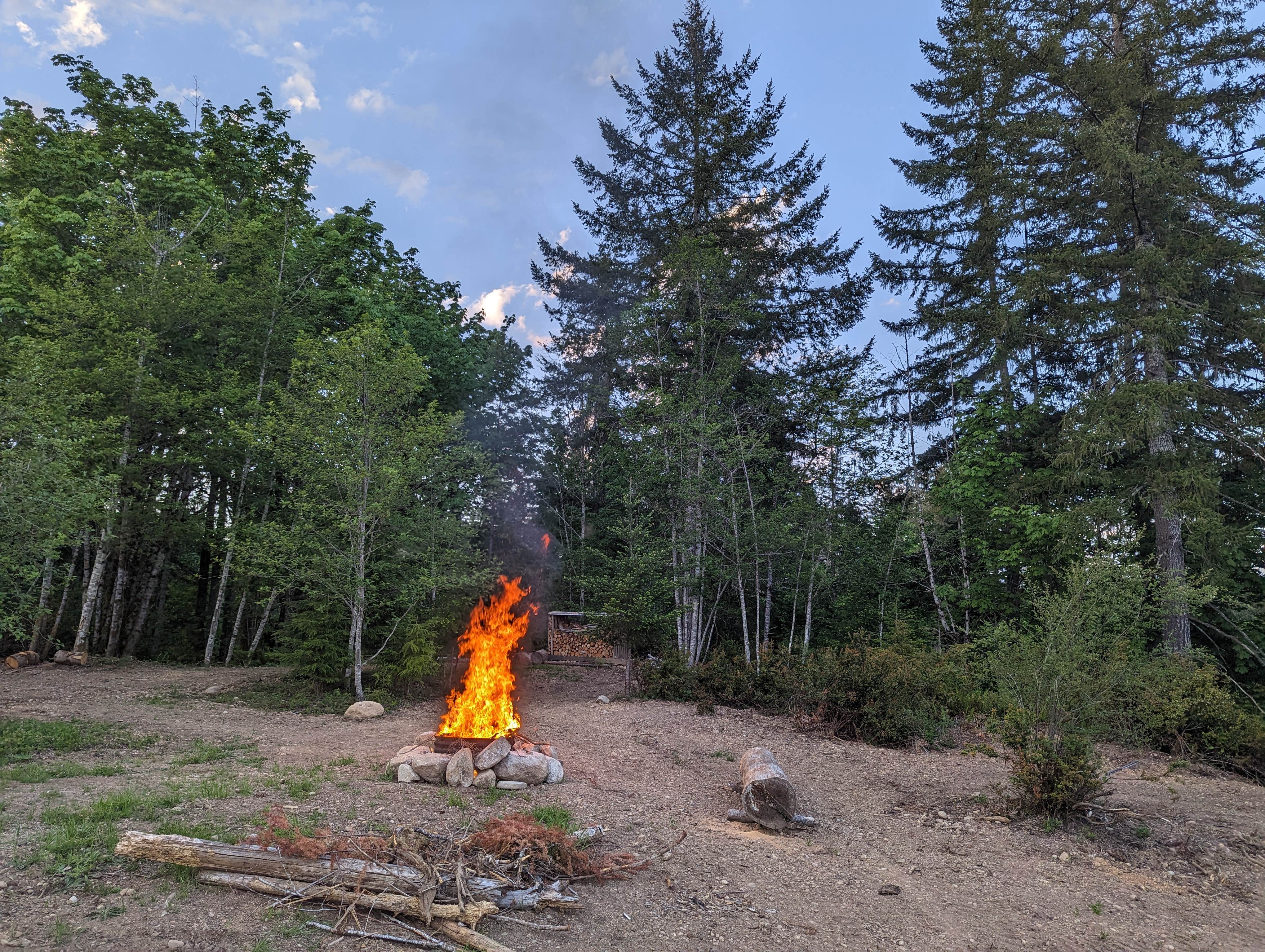 Camping near Tahuya River Campground: Christmas Tree Ridge, Tahuya, Washington