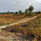 Review photo of Bar Harbor Campground by Shari  G., October 22, 2018