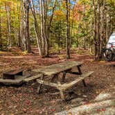 Review photo of Bar Harbor Campground by Shari  G., October 22, 2018