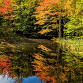 Review photo of Bar Harbor Campground by Shari  G., October 22, 2018