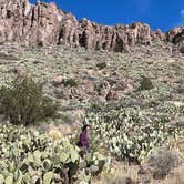 Review photo of Rockhound State Park Campground by Greg T., July 7, 2023